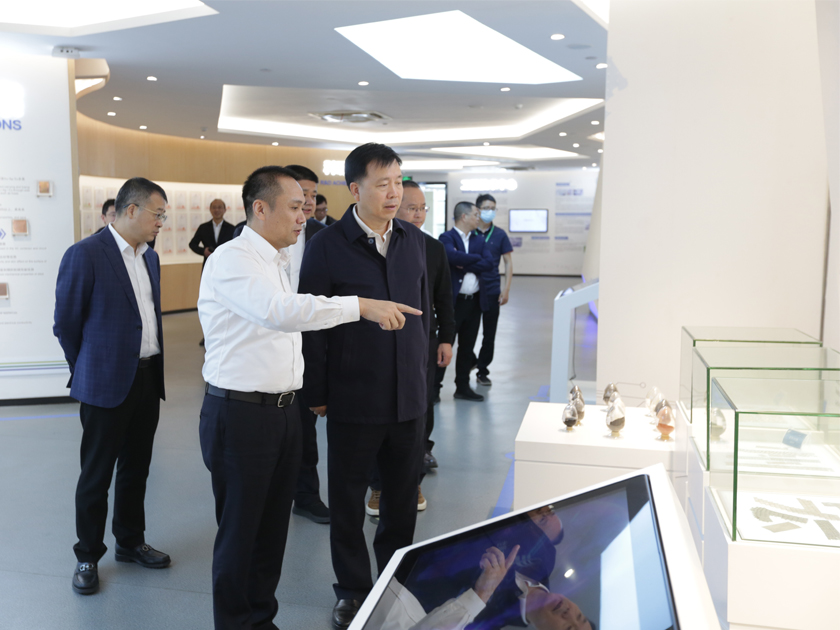 温州市委副书记、市长张振丰一行莅临温州宏丰调研指导工作